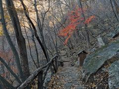 -龙道沟景区