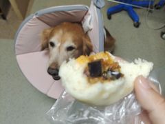 -爱派特动物医院·全科诊疗中心