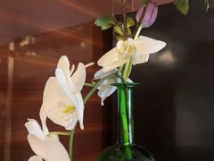 -美盛喜来登大酒店喜舍茶馆