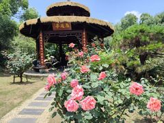 -东湖落雁景区