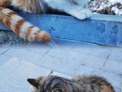 -终南山南五台景区