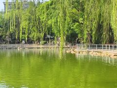 -莲湖公园