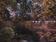 -梭布垭石林景区