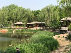 -北坞公园