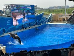 -上海海昌海洋公园