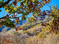-玉渡山自然风景区