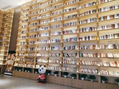 -深影国际影城(学院南路店CGS中国巨幕店)