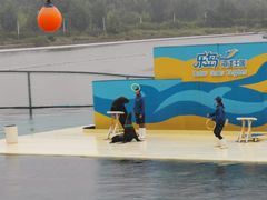 -秦皇岛乐岛海洋王国