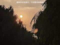 -九科绿洲