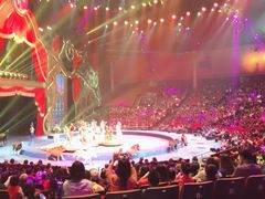 -珠海横琴长隆《卡卡虎奇遇记》