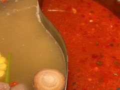 -掂档潮汕牛肉火锅(沈阳万象城店)
