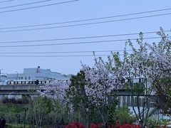 -外高桥保税区南(地铁站)