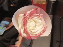 -浩运·海鲜青岛菜·海胆水饺(石老人店)