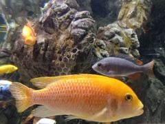 -太平洋海底世界