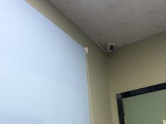 -半岛宠物医院24小时(白果林店)
