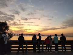 -宝安西湾红树林湿地公园