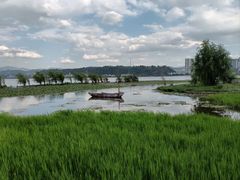 -洱海月湿地公园