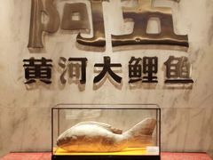 -阿五黄河大鲤鱼(纬三路店)