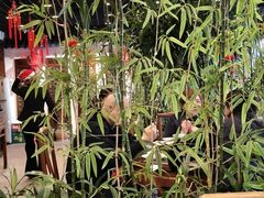 -西江美食舫·江西菜(健德桥店)