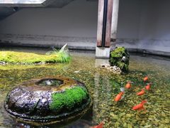-几荷·恰似故人来(秀水广场店)