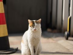 -苏州河梦清园环保主题公园