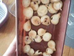 -糕材生(龙湖北京大兴天街店)