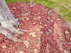 -常州古运河南大街文化旅游区-人民公园