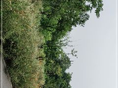 -青龙山国家森林公园