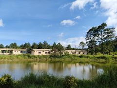 -海南热带雨林国家公园吊罗山景区