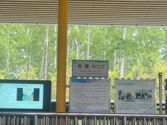 -秦皇岛野生动物园