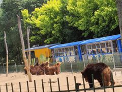-秦皇岛野生动物园