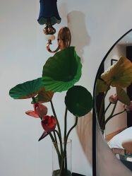 -尊尚柏丽美容SPA