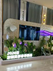 -深圳美莱医疗美容医院