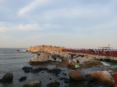 -养马岛旅游度假区