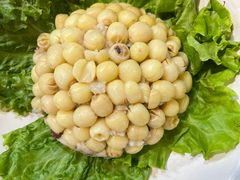 -龙泉小镇(科圣路店)