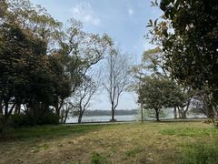 -东湖落雁景区