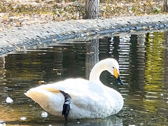 -艾溪湖湿地公园