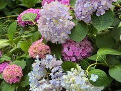 -常州古运河南大街文化旅游区-人民公园