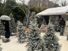 -HERRE·FARM 赫尔露营农场·团建聚会包场