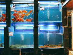 水产区-菲乐餐厅(三十年经营·湖滨路店)