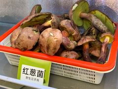-菌海森林·非遗野生菌火锅(西山区滇池路摩根道店)