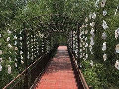 -崖口红树林海鲜餐厅