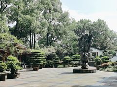 -南山植物园