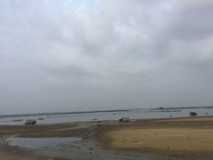 -北海金海湾红树林生态旅游区