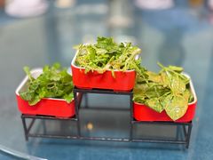 -天毓山庄·餐厅