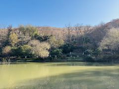 -南山风景名胜区