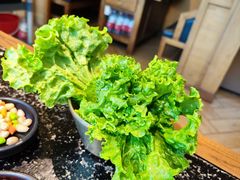 -九田家黑牛烤肉料理(珠江摩尔店)
