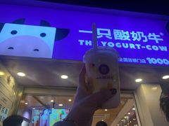 -一只酸奶牛(八一路店)