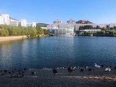 -青岛大学(金家岭校区)