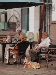 -忆江南婚礼策划(姑苏店)